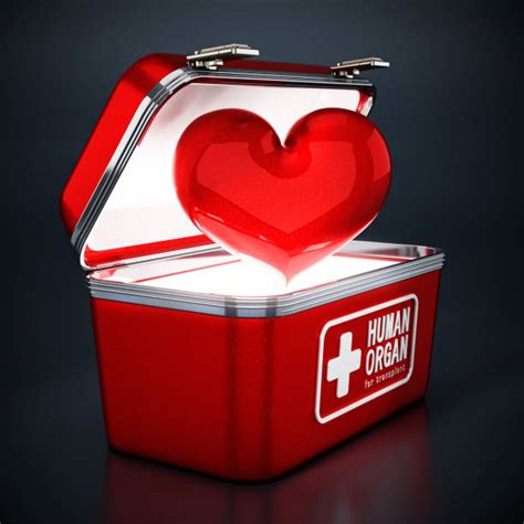 human organ transplant metal storage box|heart in a box organ transfer.